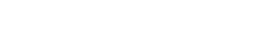 標揚電子科技股份有限公司 Logo